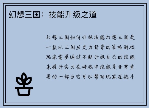 幻想三国：技能升级之道